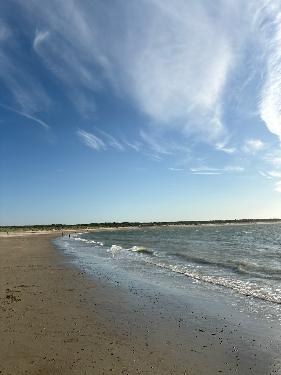 Kustlijn bij Renesse