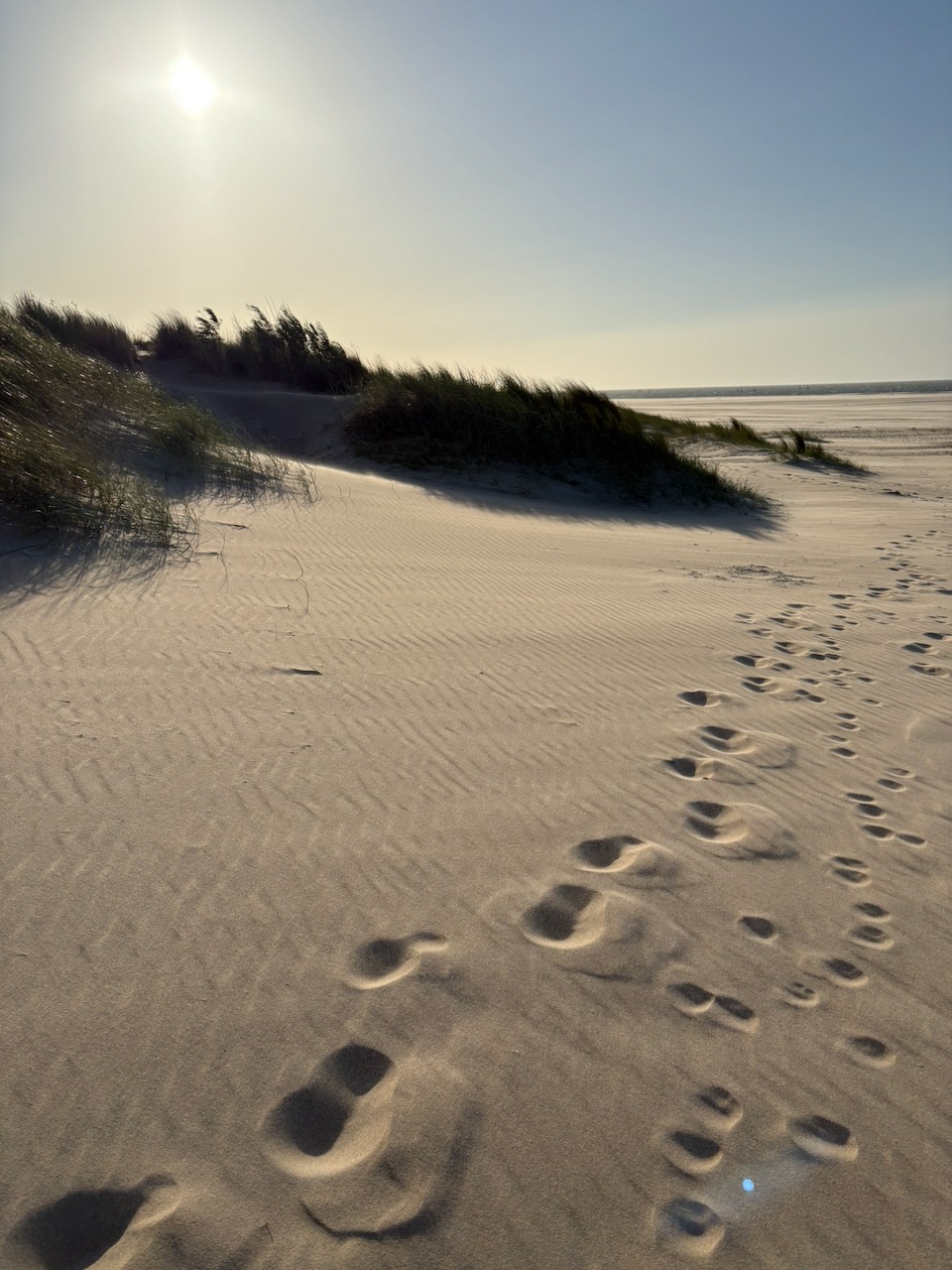 Voetstappen in de duinen bij Renesse
